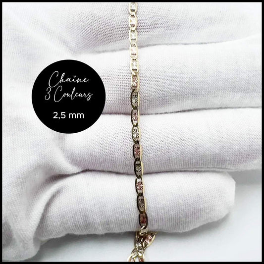 Chaîne étoilée 2,5 mm 3 couleurs en or 10k