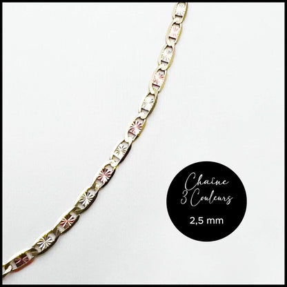 Chaîne étoilée 2,5 mm 3 couleurs en or 10k