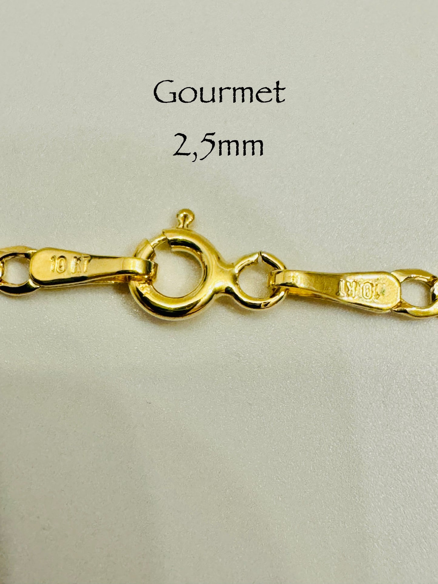 Chaîne gourmet 2,5mm en or 10k