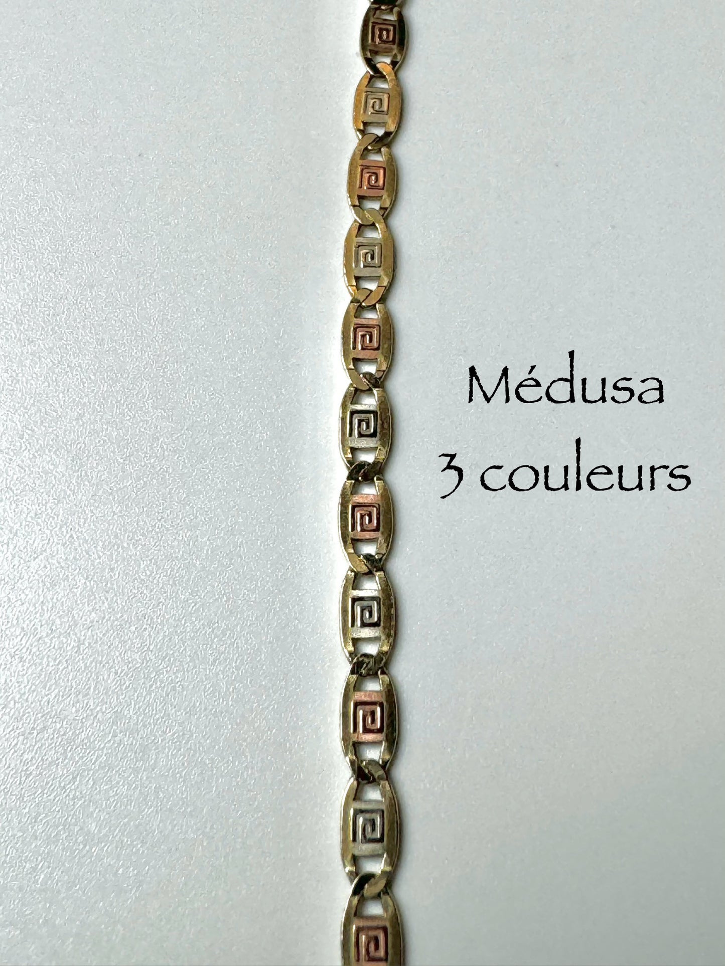 Bracelet médusa trois couleurs 2,5mm en or