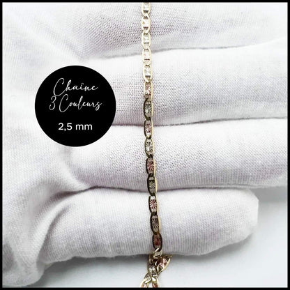 Chaîne étoilée 2,5 mm 3 couleurs en or 10k