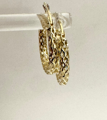 #314 boucles d’oreilles anneaux trouées en or 10 carats