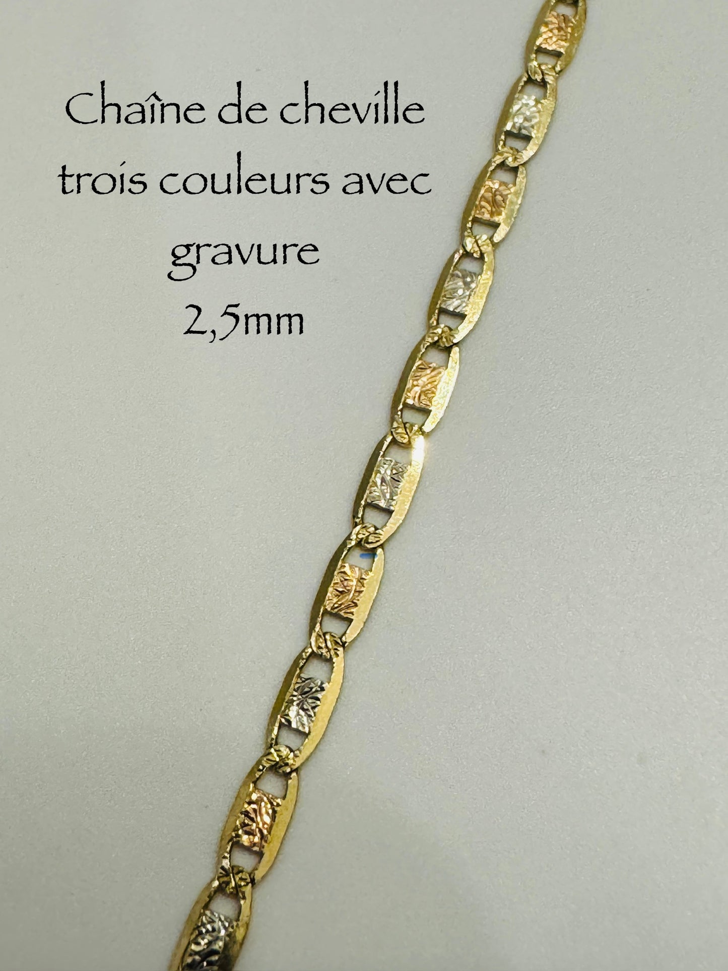 #508 chaîne de cheville trois couleurs avec gravure 2,5 mm en or 10k