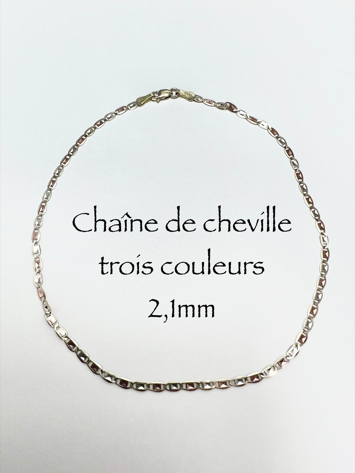 #506 chaîne de cheville trois couleurs 2,1 mm en or 10k