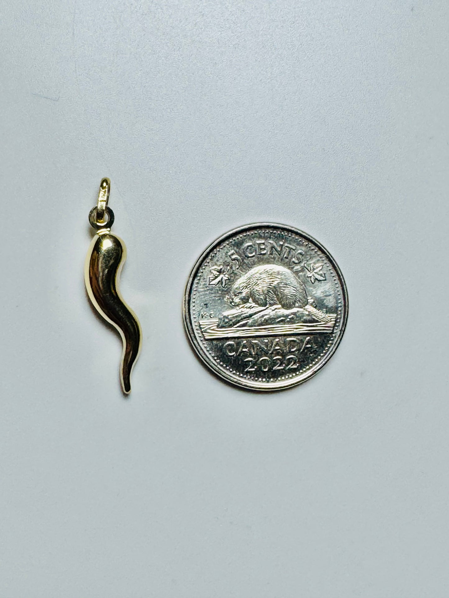 #447 pendentif petite corne d’abondance en vrai or 10k