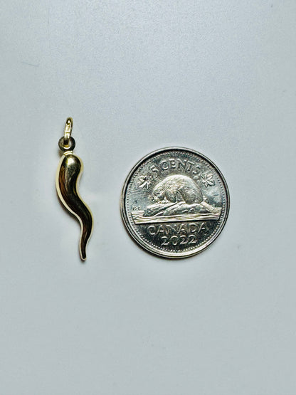 #447 pendentif petite corne d’abondance en vrai or 10k
