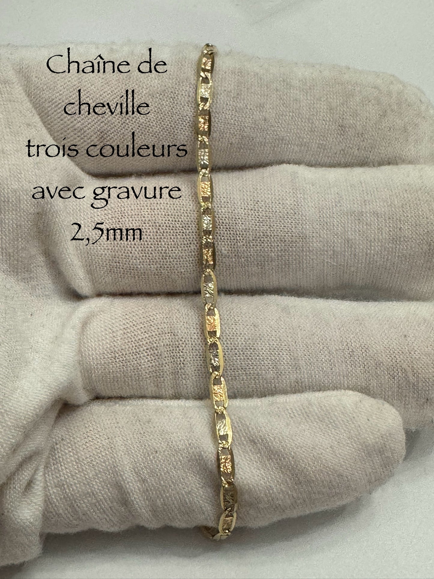 #508 chaîne de cheville trois couleurs avec gravure 2,5 mm en or 10k