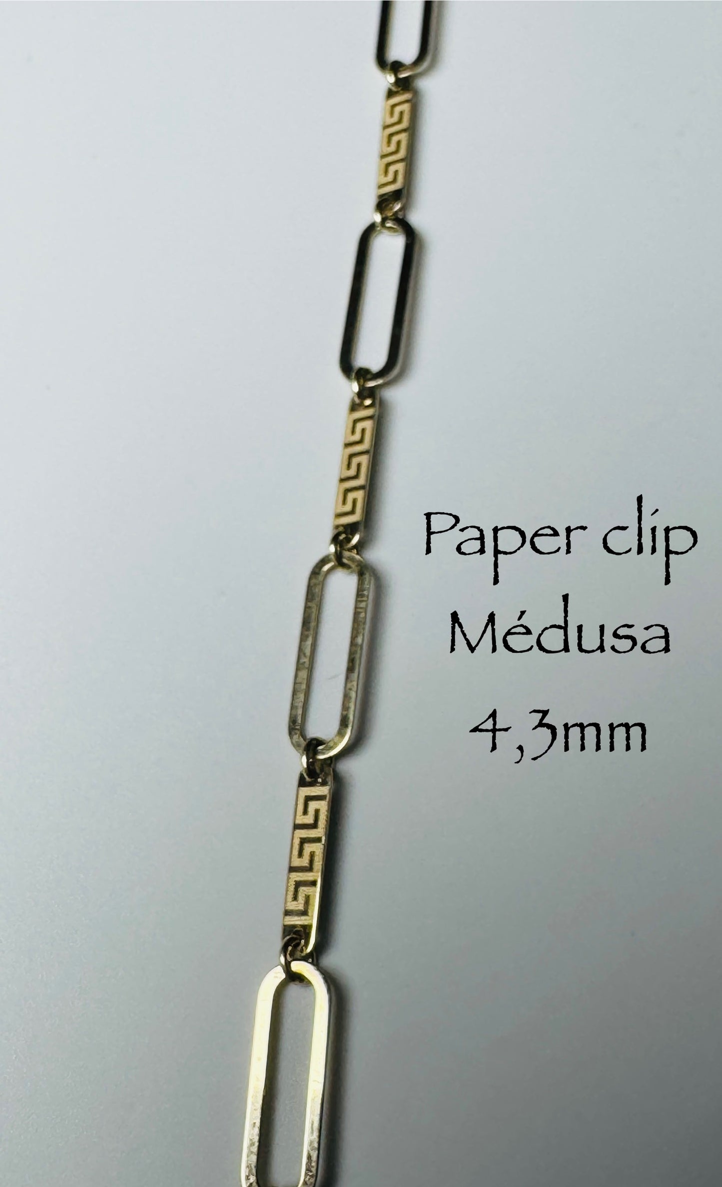 #110 bracelet Paperclip médusa 4,3 mm en or 10k