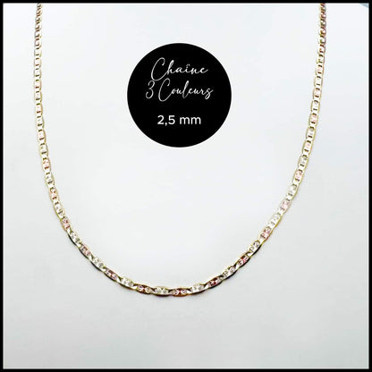 Chaîne étoilée 2,5 mm 3 couleurs en or 10k
