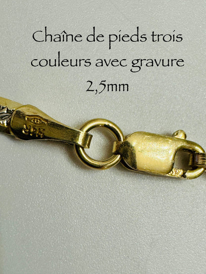 #508 chaîne de cheville trois couleurs avec gravure 2,5 mm en or 10k