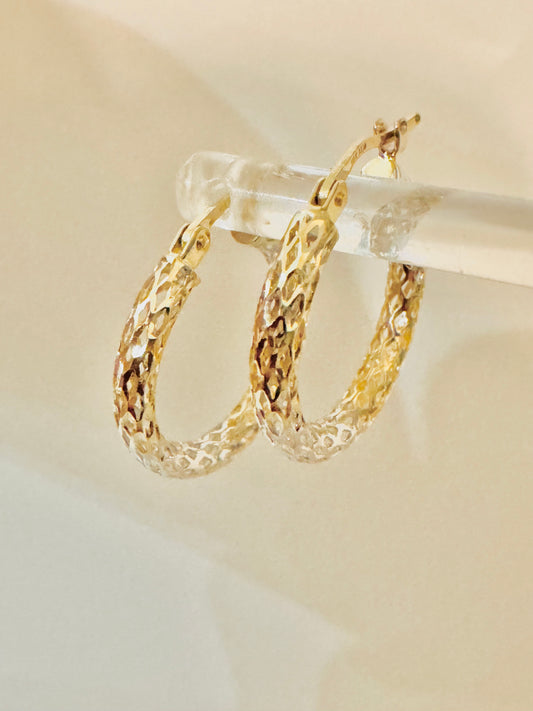 #322 boucles d’oreilles anneaux trouées 2 couleurs en or 10k