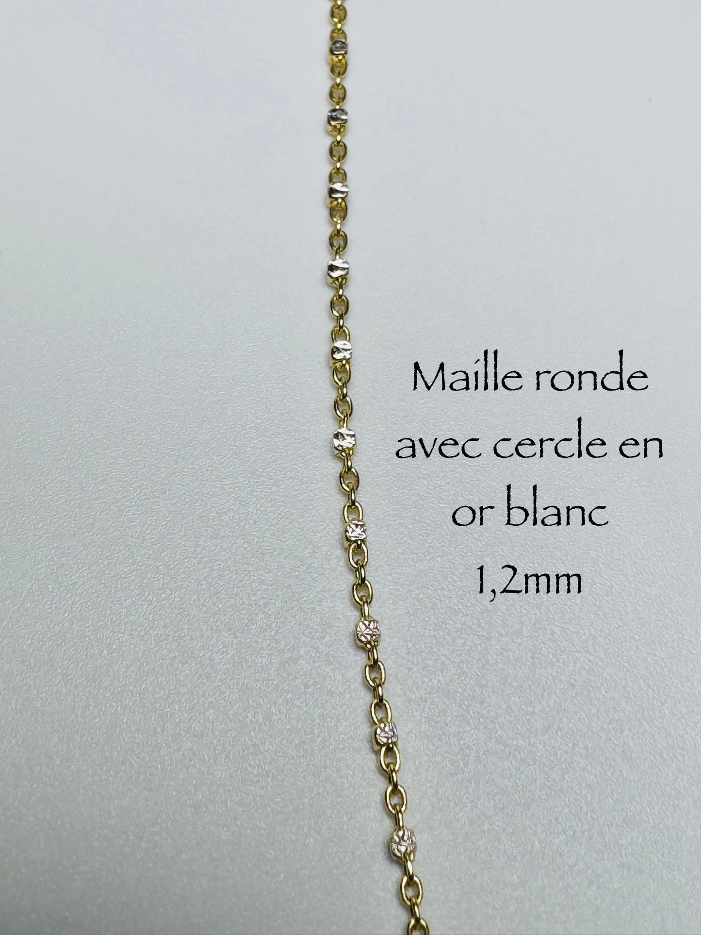 Chaîne maille ronde en or 10 carats avec cercle en or blanc