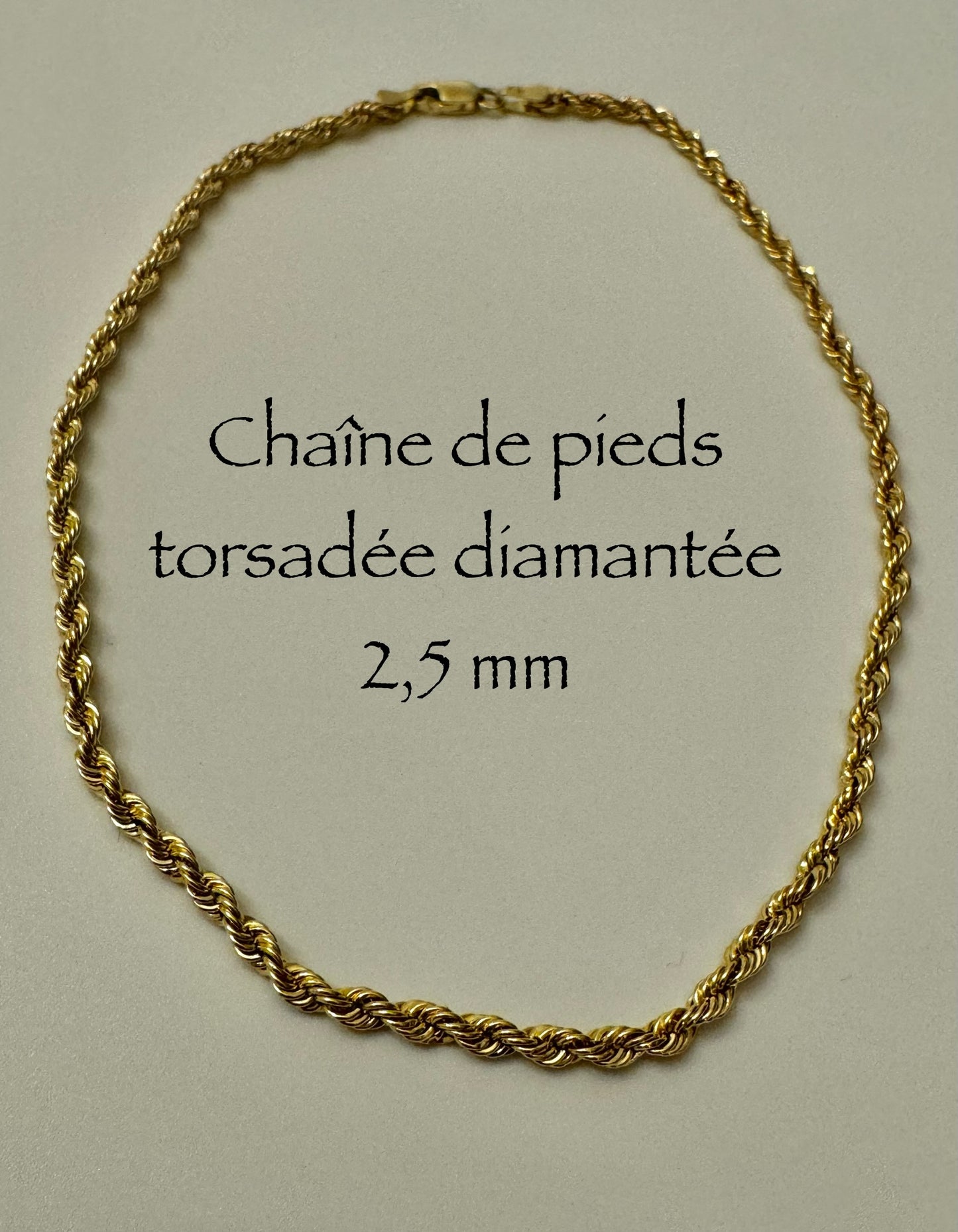 Chaîne de pieds en or torsadée diamantée 2,5 mm